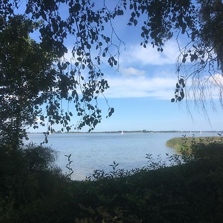 Ferienwohnung Am Strelasund Sundhagen-Niederhof ภายนอก รูปภาพ