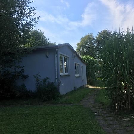 Ferienwohnung Am Strelasund Sundhagen-Niederhof ภายนอก รูปภาพ