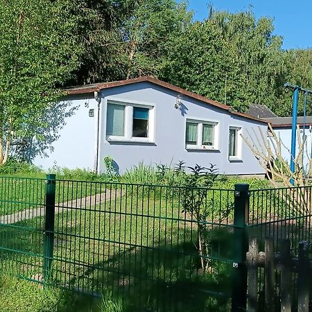 Ferienwohnung Am Strelasund Sundhagen-Niederhof ภายนอก รูปภาพ